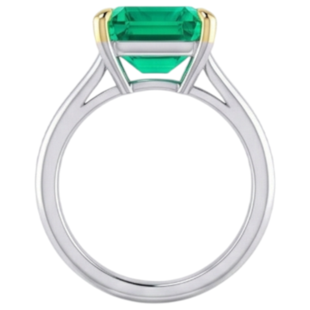 Precious Stone Ring 14K Two Tone Gold with Emerald – angle view