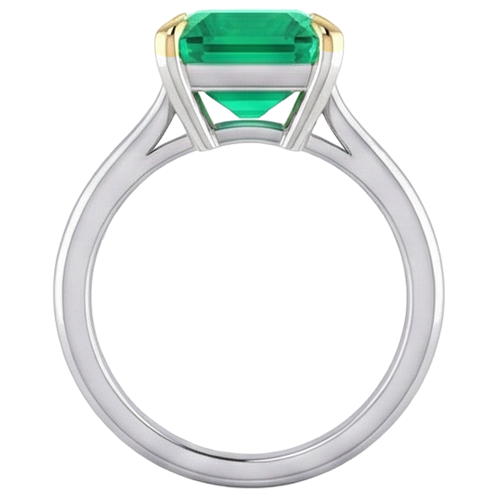 Emerald Emerald Cut Gemstone Ring in Two-Tone 14K Gold – profile view