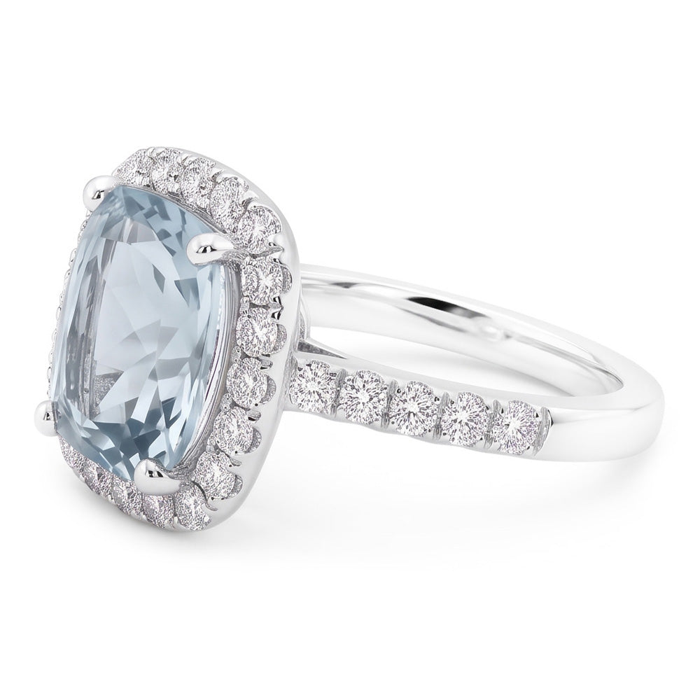 Natural Aquamarine Ring 11.25ct - White Gold 14K