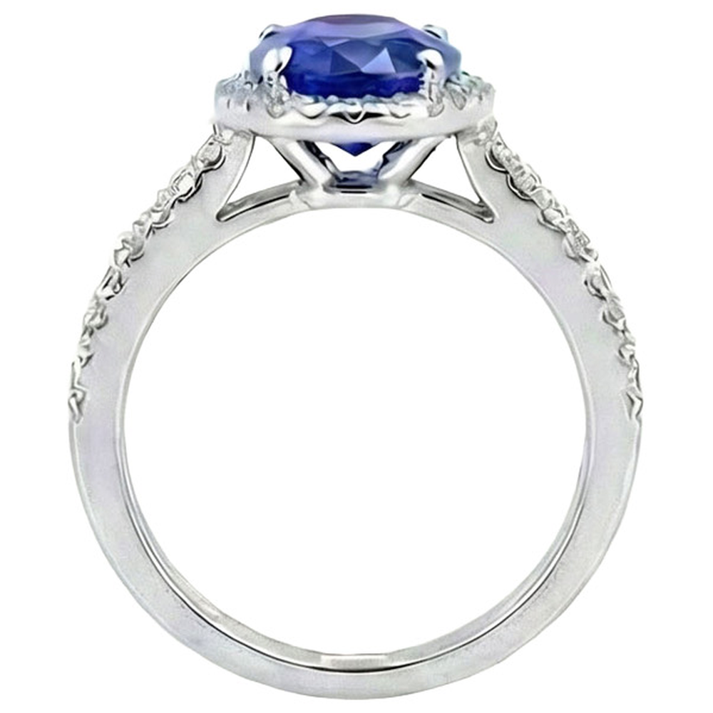 White Gold 4.81 Carat Ceylon Sapphire Natural Earth Mined Diamond ( Not Lab Grown ) s Double Shank Ring