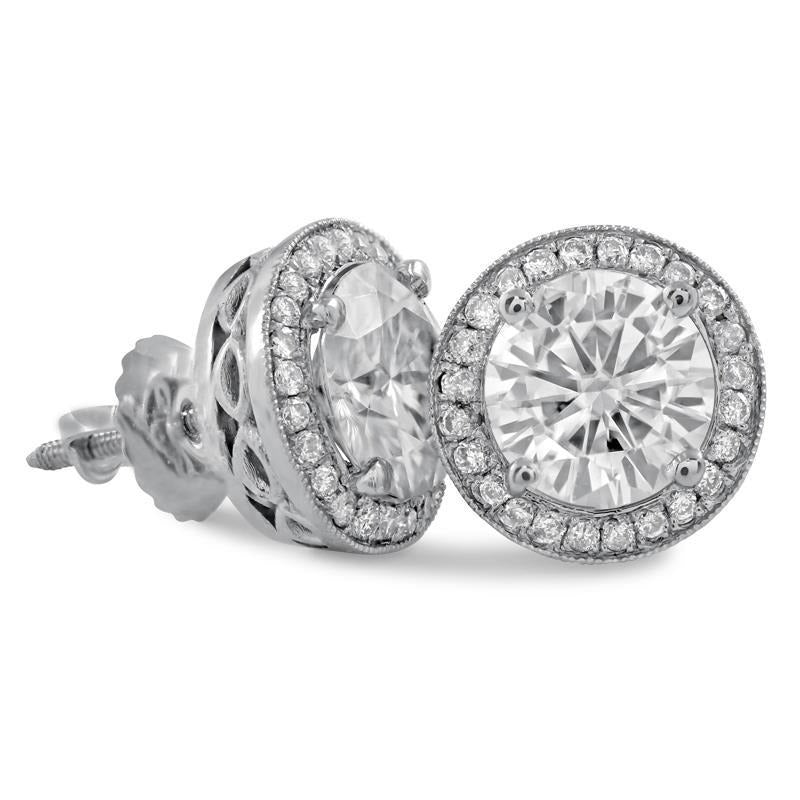 Women Pave Halo Studs Earrings Round Cut 5 Carats Real Diamonds Gold White 14K - Studs- Halo-harrychadent.ca