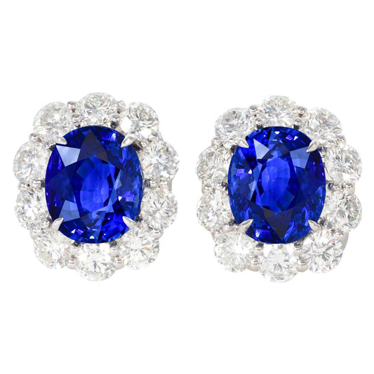 6 Carats Prong Set Ceylon Sapphire Stud Earrings White Gold 14K - Gemstone Earring-harrychadent.ca